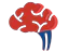 Neurology