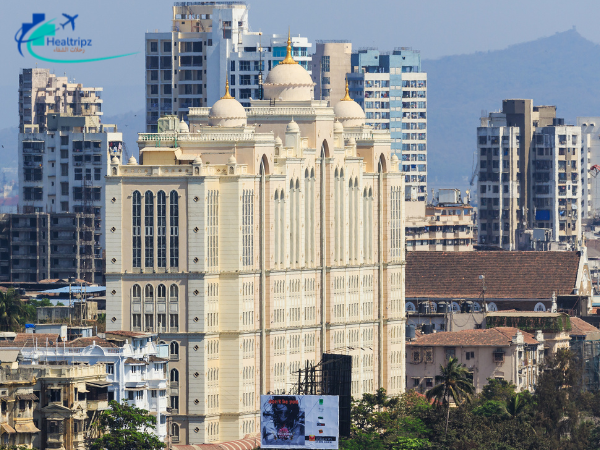 saifee hospital mumbai