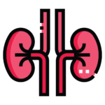 Nephrology Treatment in Delhi, India
