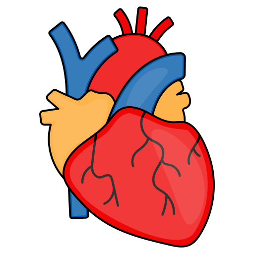 Cardiology Treatment in India